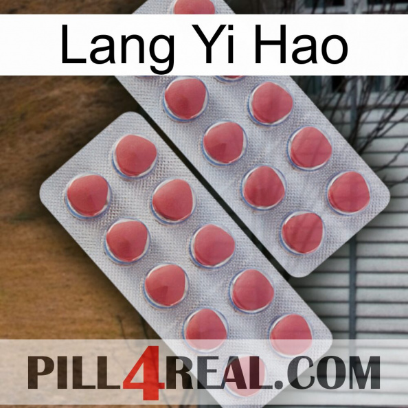 Lang Yi Hao 19.jpg